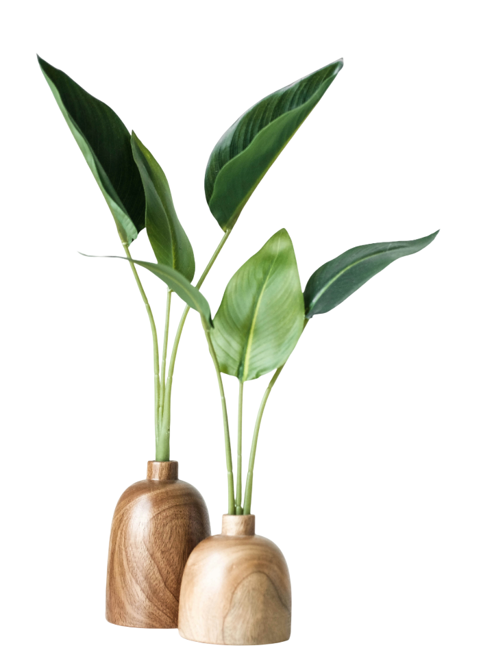 Plant Left